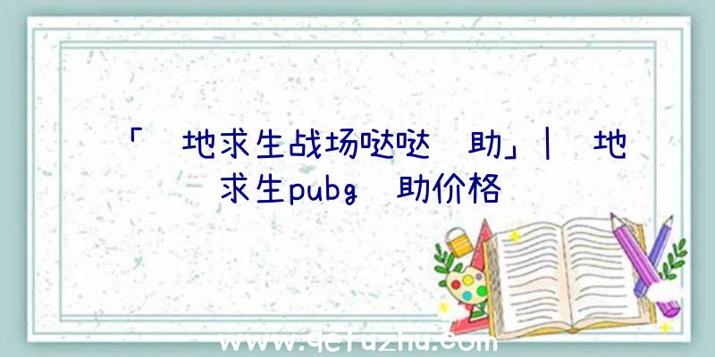 「绝地求生战场哒哒辅助」|绝地求生pubg辅助价格